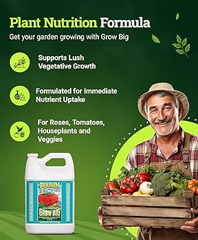 71mlRxNqMJL._AC_UF350,