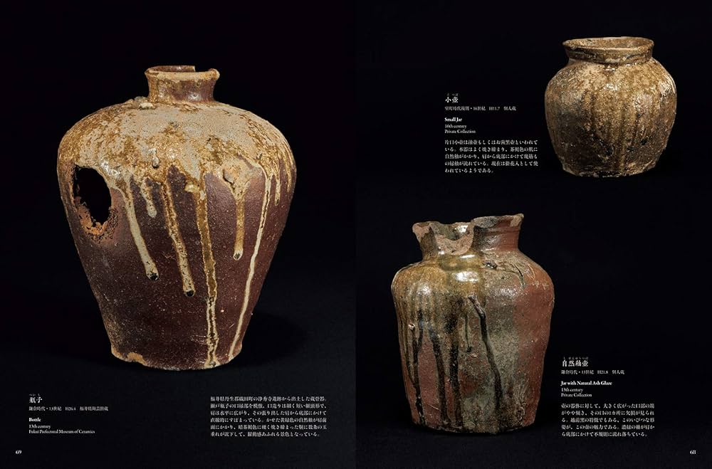 Amazon.co.jp: 六古窯を訪ねる:瀬戸・常滑・越前・信楽・丹波・備前