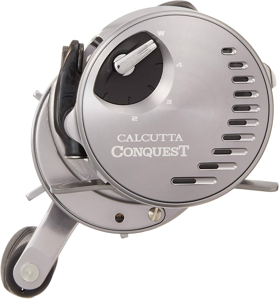 Amazon | シマノ(SHIMANO) ベイトリール 両軸 20 カルカッタコン