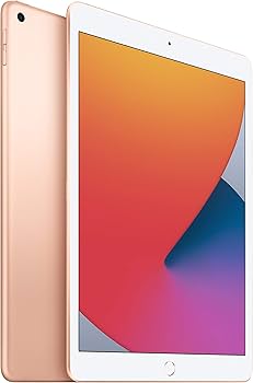 Amazon.com : 2020 Apple iPad (10.2-inch, Wi-Fi, 32GB) - Gold (8th