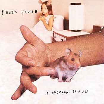 Thousand Leaves: SONIC YOUTH: Amazon.ca: Music