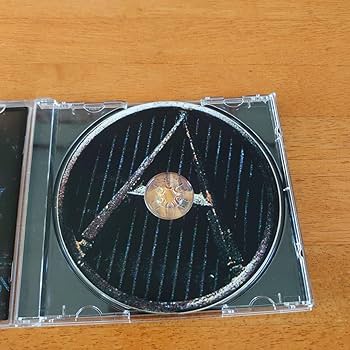 Amazon.co.jp: Prodigy/The Fat Of The Land プロディジー/ザ