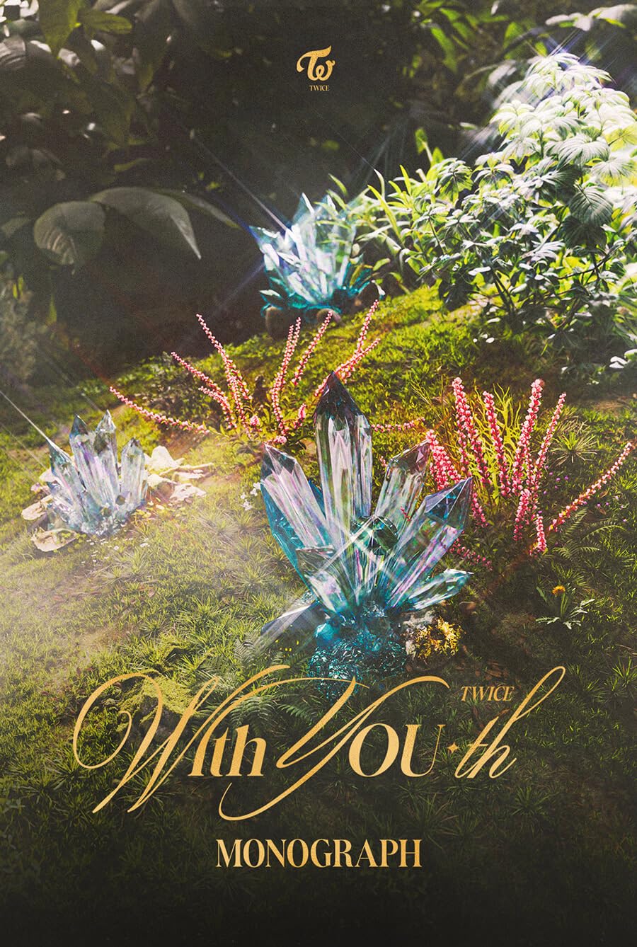 Amazon.com: TWICE MONOGRAPH With YOU-th PHOTOBOOK : Home & Kitchen