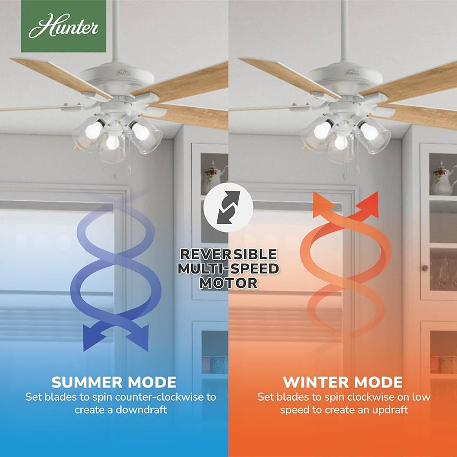 Amazon.com: Hunter 52 inch Indoor Ceiling Fan with LED Lights and