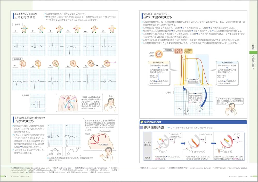 病気がみえる vol.2 循環器 第5版 | 医療情報科学研究所 |本 | 通販