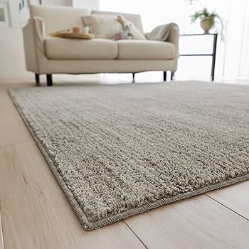 Amazon｜スミノエ(Suminoe) ラグ グレージュ 190×240cm 洗える 滑り
