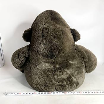 71okzi-SHVL._AC_UF350,