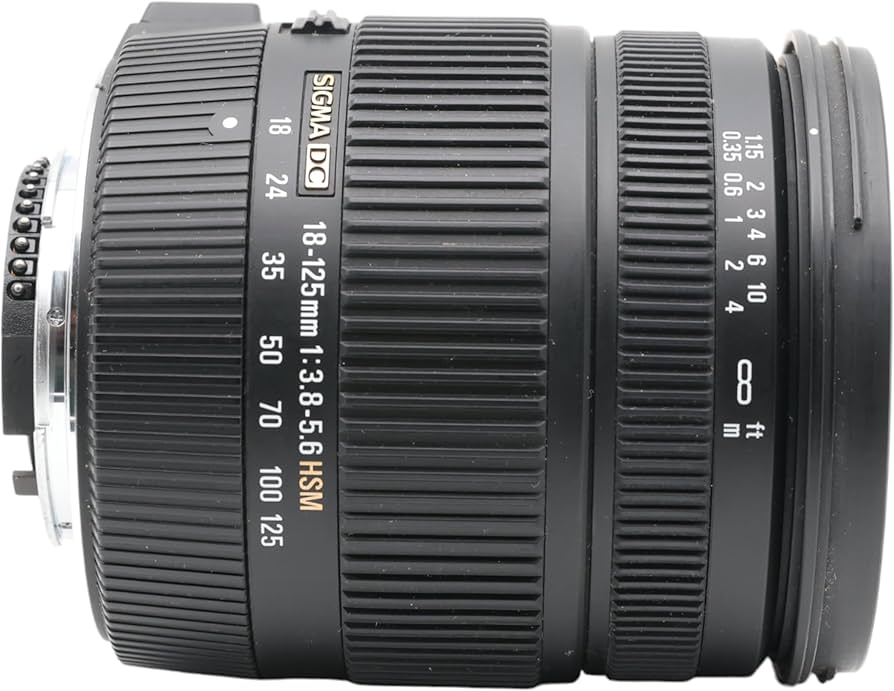 Amazon.com : Sigma 18-125mm f/3.5-5.6 AF DC OS HSM Zoom Lens for