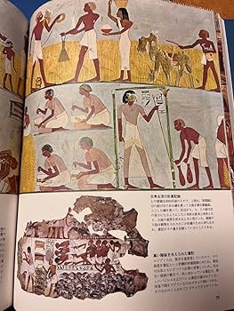 Amazon.co.jp: タイムライフ社 百科事典 人間と科学シリーズ : おもちゃ