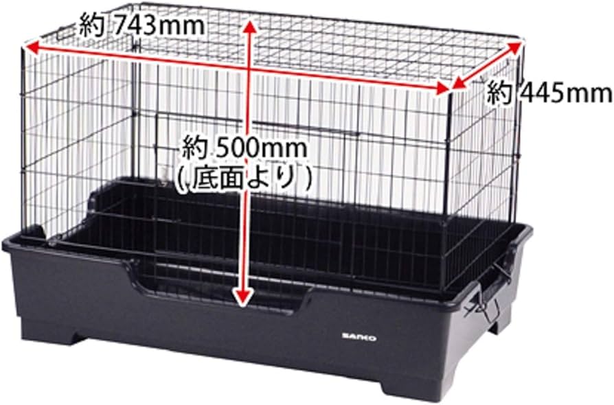 Amazon | 三晃商会 SANKO ワイルドホーム フェレット | Sanko | 飼育