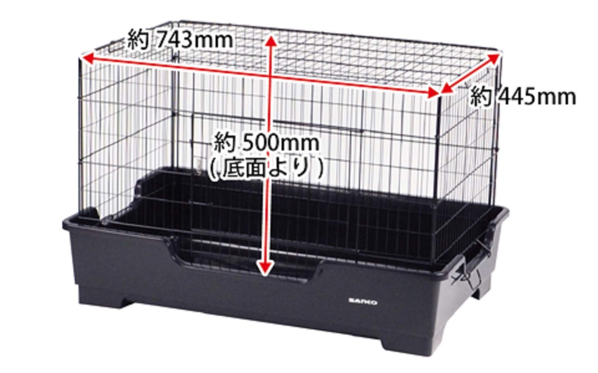Amazon | 三晃商会 SANKO ワイルドホーム フェレット | Sanko | 飼育