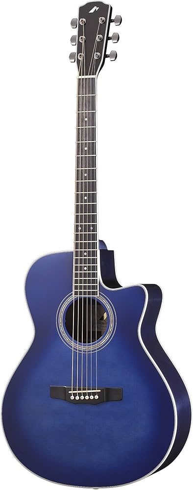 Amazon | Morris (モーリス) エレクトリック アコースティックギター R