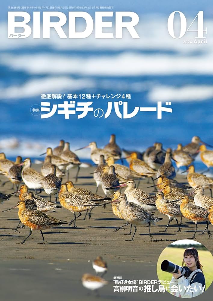 BIRDER（バーダー）2024年4月号 徹底解説！基本12種＋チャレンジ4種