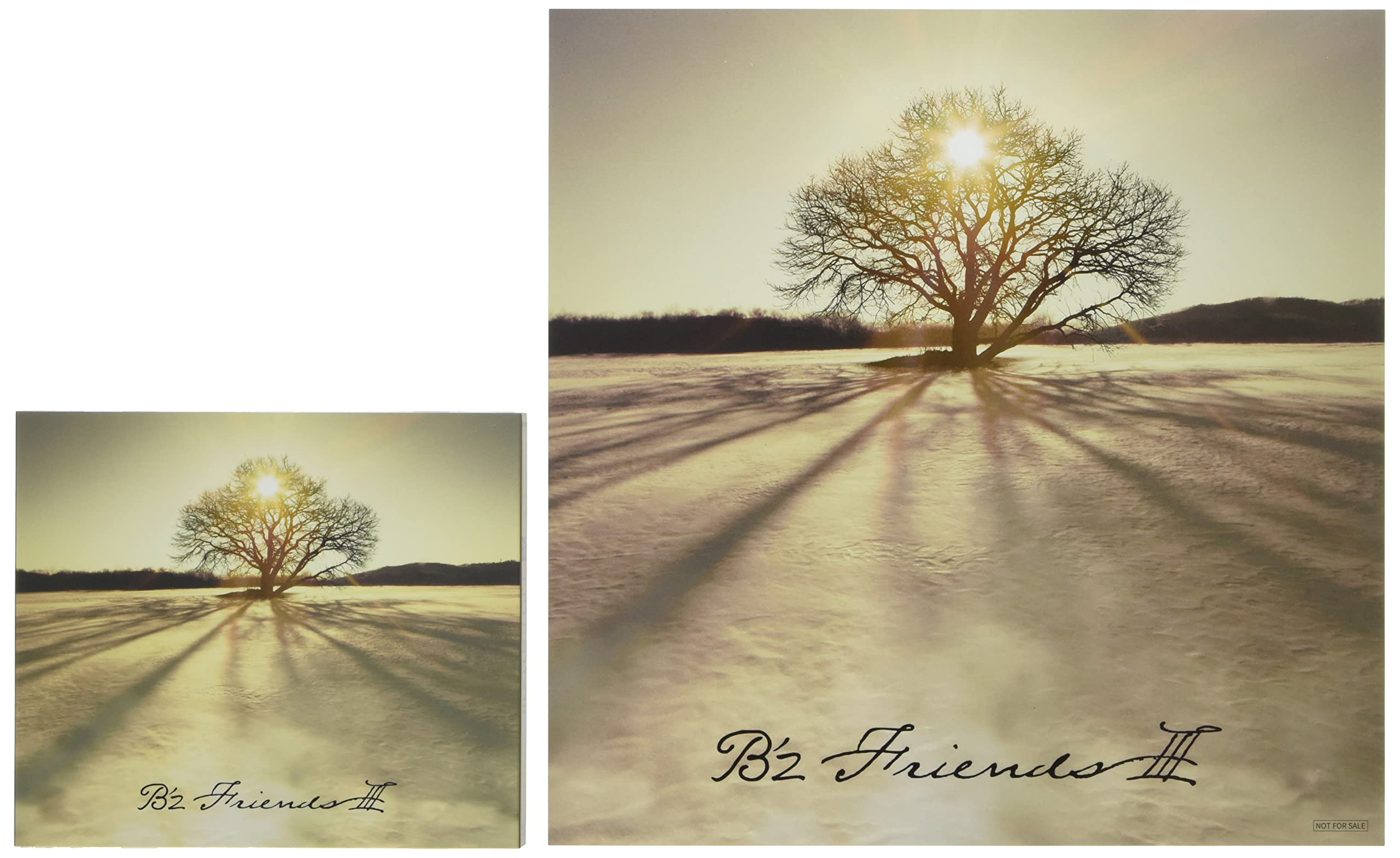 Amazon.co.jp: B'z : 【Amazon.co.jp限定】「FRIENDS III」 (初回限定