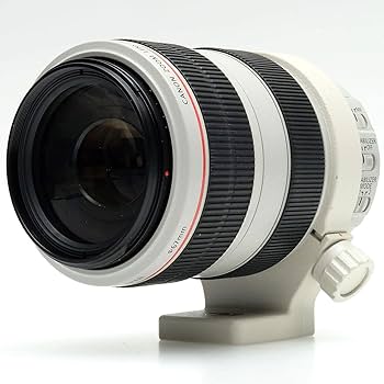 Canon EF 70-300mm f4-5.6 L is USM Lenses : Amazon.ca: Electronics