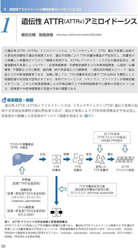 アミロイドーシス診療ガイドライン2025 | 日本アミロイドーシス学会