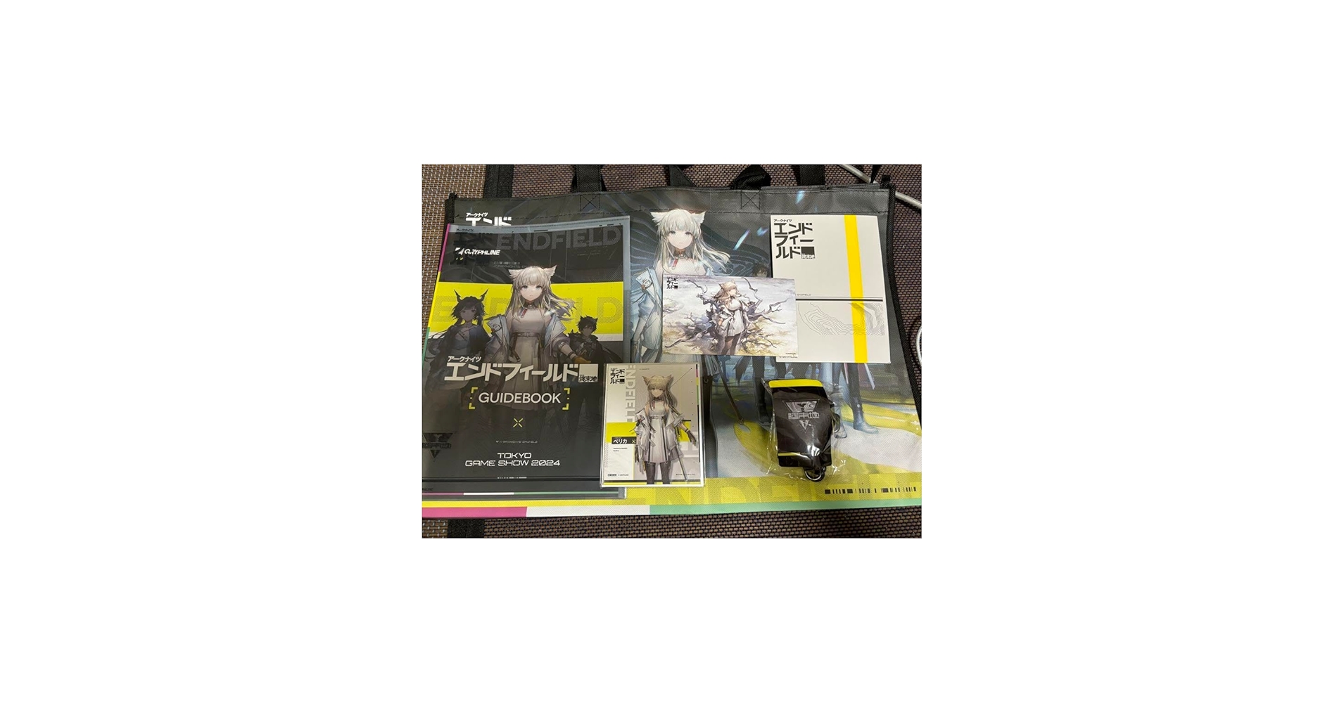 Amazon.co.jp: TGS2024アークナイツ エンドフィールド セット 東京