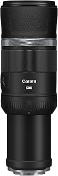 Amazon.com : Canon RF 600mm f/11 is STM Lens : Electronics