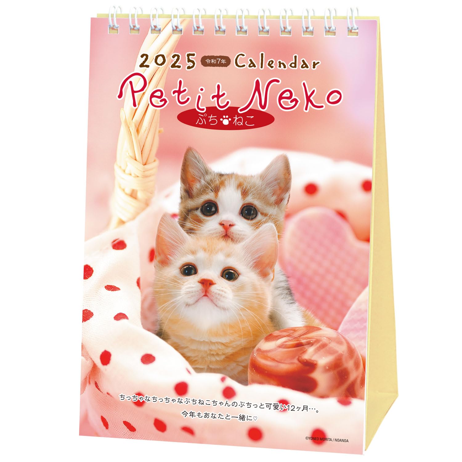 Amazon.co.jp: アクティブコーポレーション 2025年 カレンダー 卓上