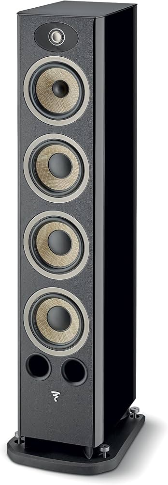 Amazon.com: Focal Aria Evo X No. 3 Floorstanding Loudspeaker