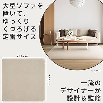 71rD520vI6L._AC_UF350,