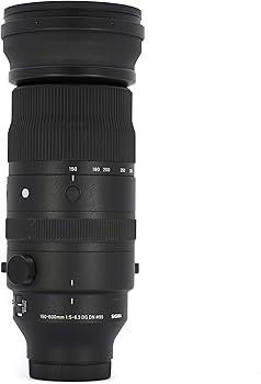 Amazon.com: Sigma 150-600mm F5/-6.3 DG DN for L Mount : Sports