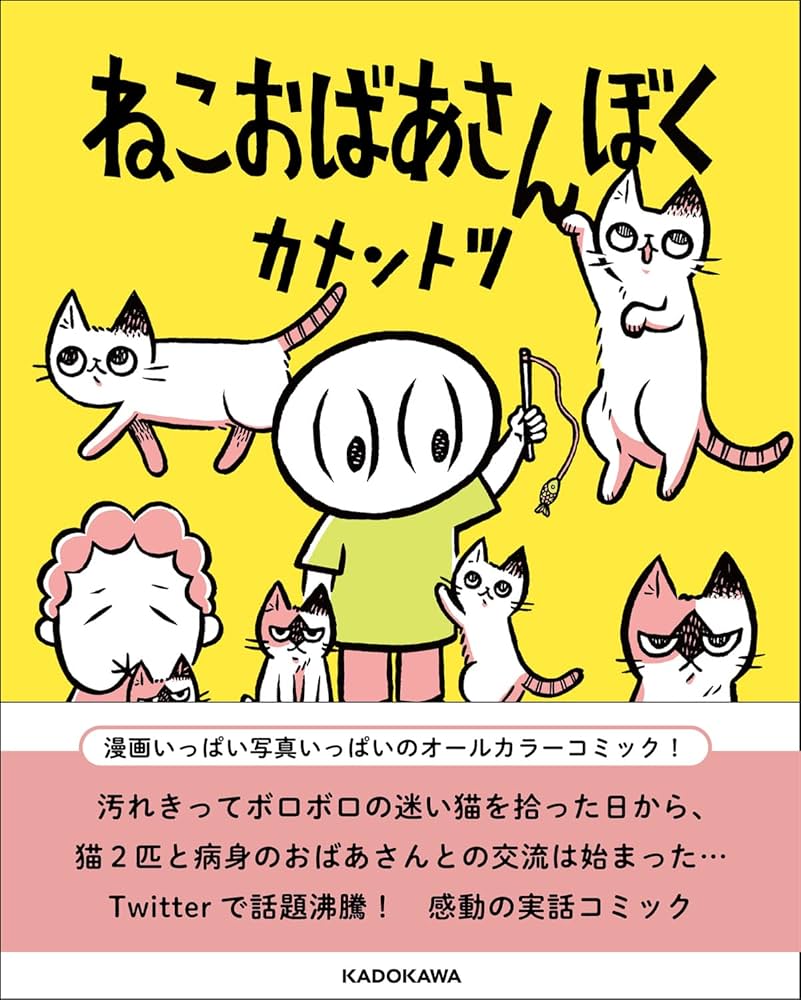 Amazon.co.jp: ねこおばあさんぼく : カメントツ: 本