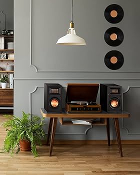 Amazon.co.jp: Donner ブックシェルフスピーカー 2.0 パッシブ