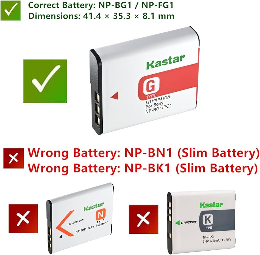 Amazon.com : Kastar NP-BG1 / NP-FG1 Battery (2-Pack) + Slim USB