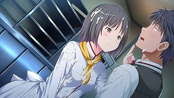 Amazon.co.jp: パルフェリメイク - PS4 : ゲーム