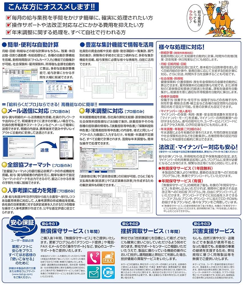 Amazon.co.jp: BSLシステム研究所 給料らくだプロ26 : PCソフト