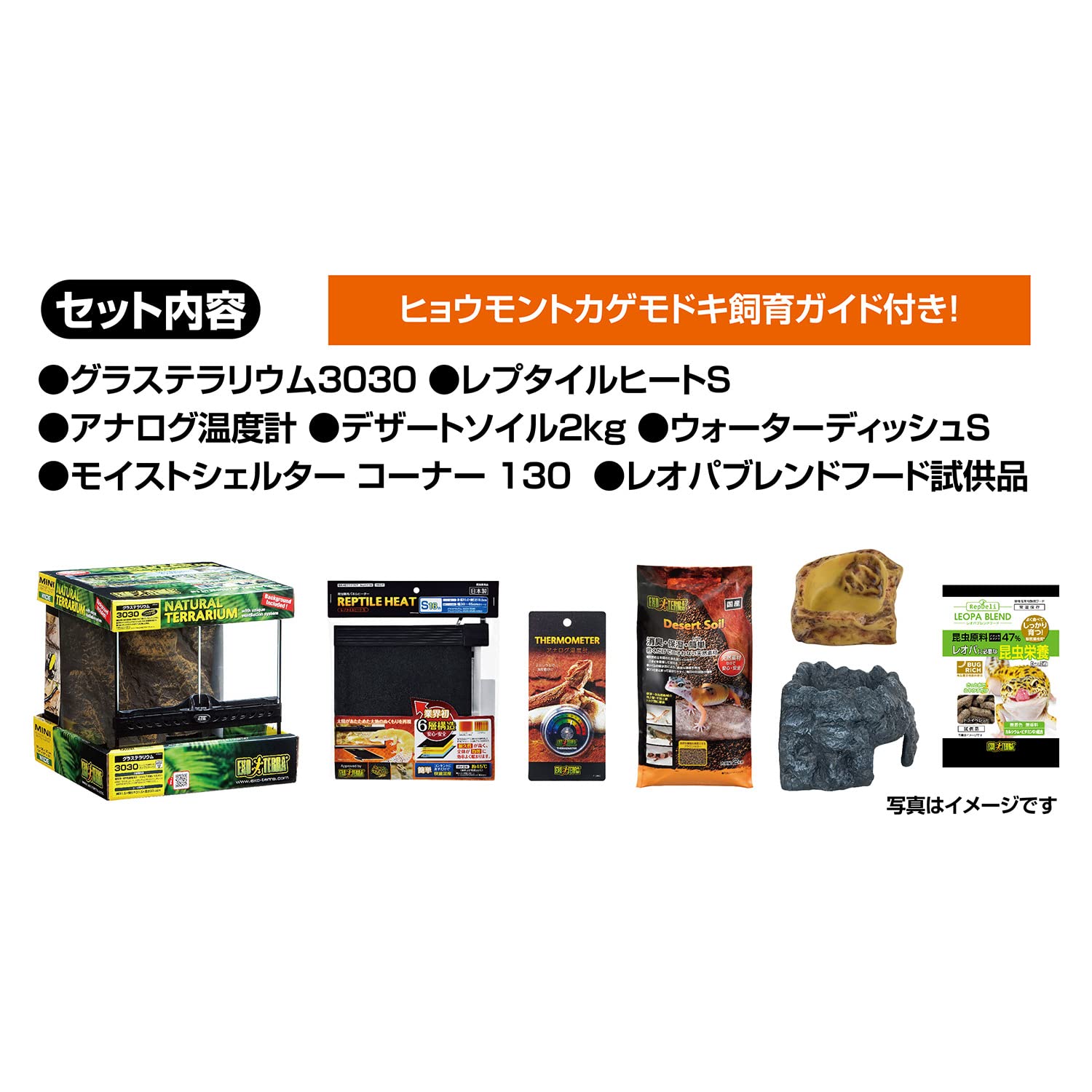 Amazon | GEX EXOTERRA レオパ飼育キット GT3030 爬虫類用ガラスケージ