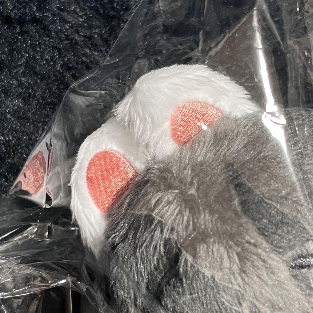 Amazon.co.jp: エスクプス ぬいぐるみ 10cm マスター セブチ teen