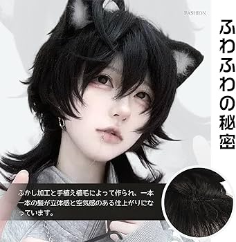 Amazon.co.jp: Sofeiyan 【猫系少年】 ウィッグ メンズ ウルフ