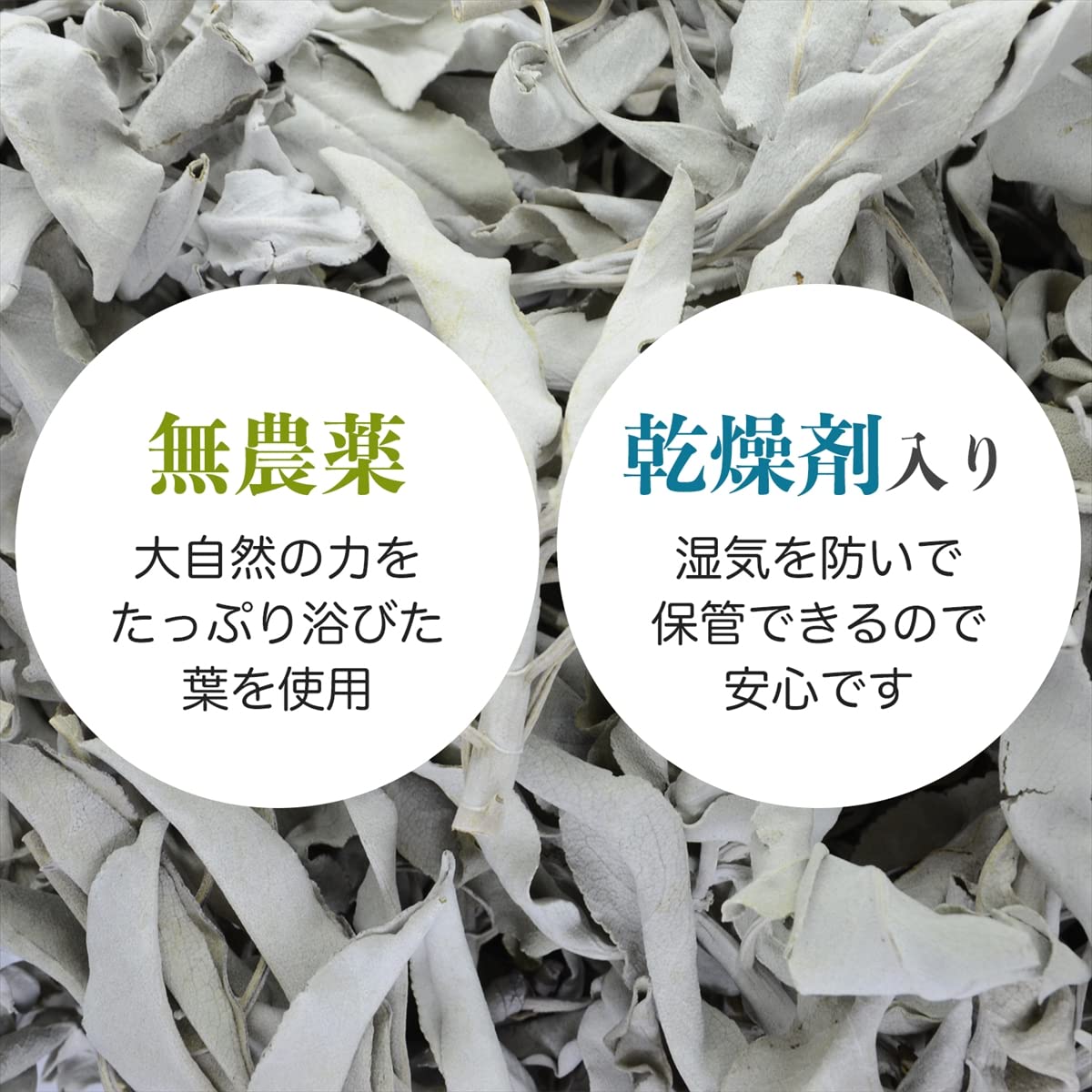 Amazon | 無農薬 ホワイトセージ 枝無し(リーフ) 約50g カリフォルニア