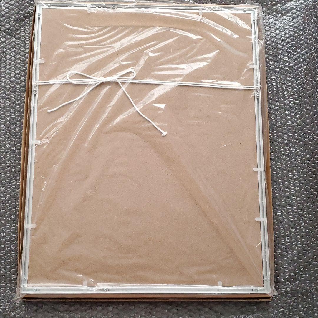 Amazon.co.jp: ワンピ ース ジャンプフェスタ2009 複製原画 : おもちゃ