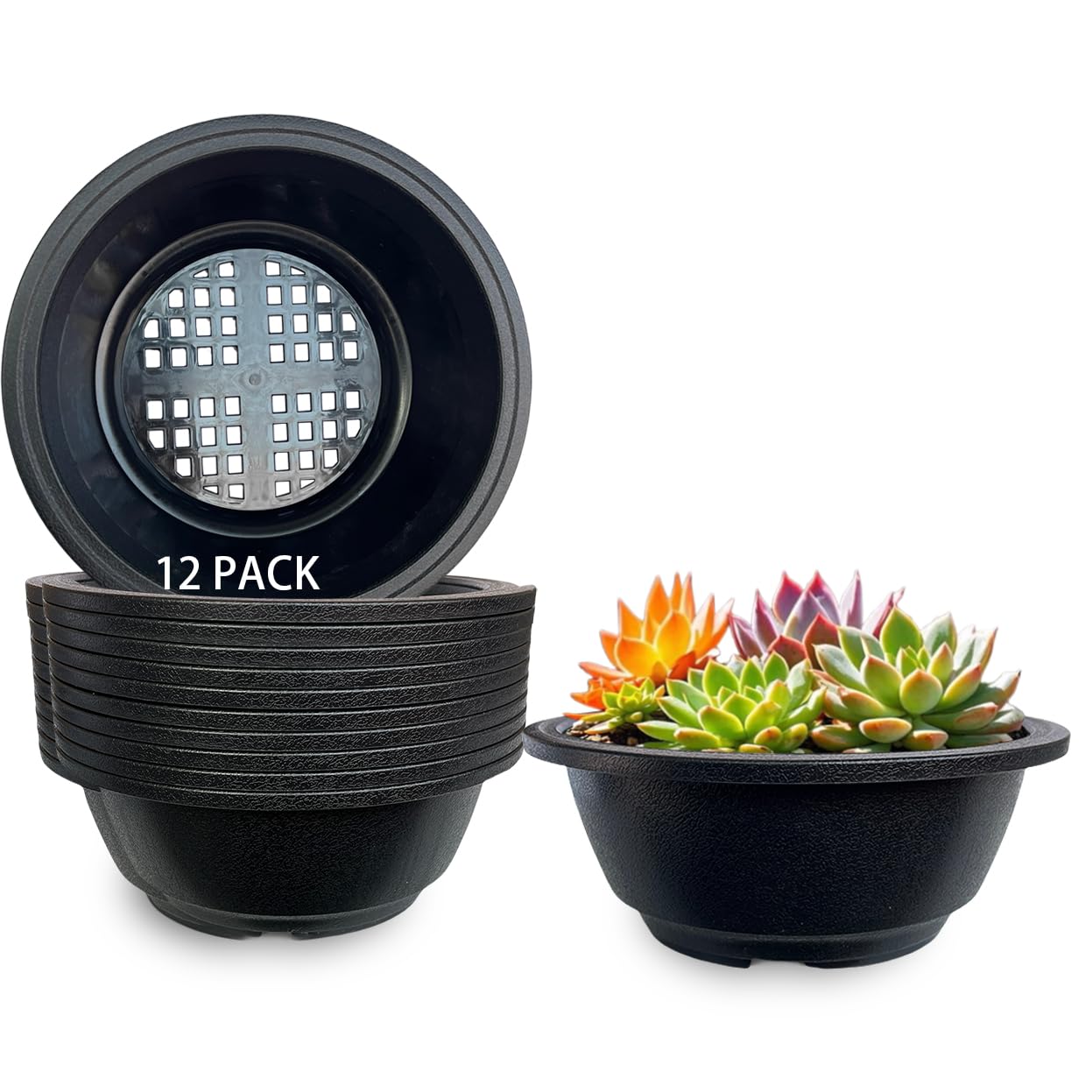 Amazon.com : MUZHI 12PACK Matte Black Succulent Bonsai Round