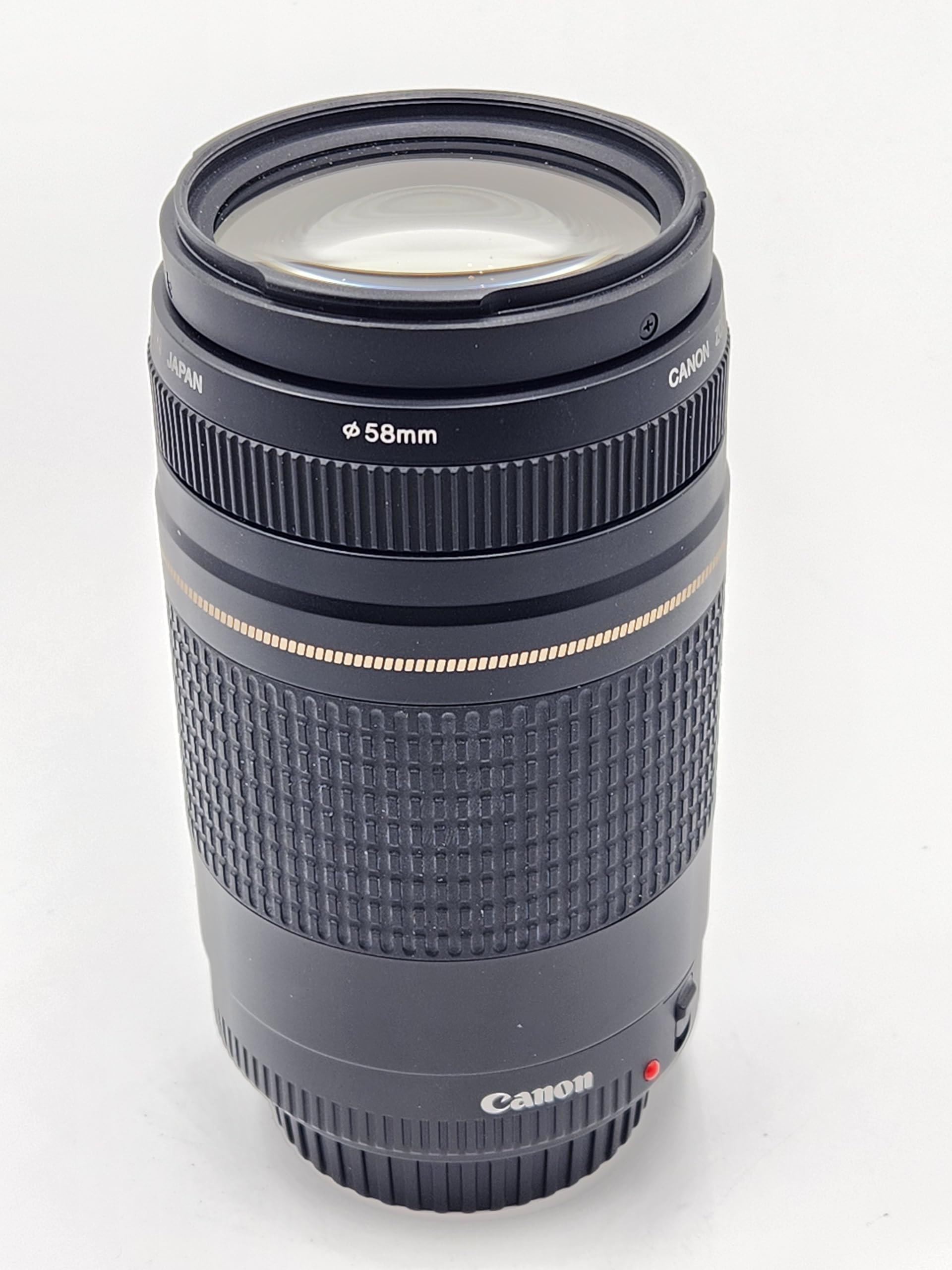 Used Canon 75-300mm f4-5.6 II USM Lens : Amazon.ca: Electronics