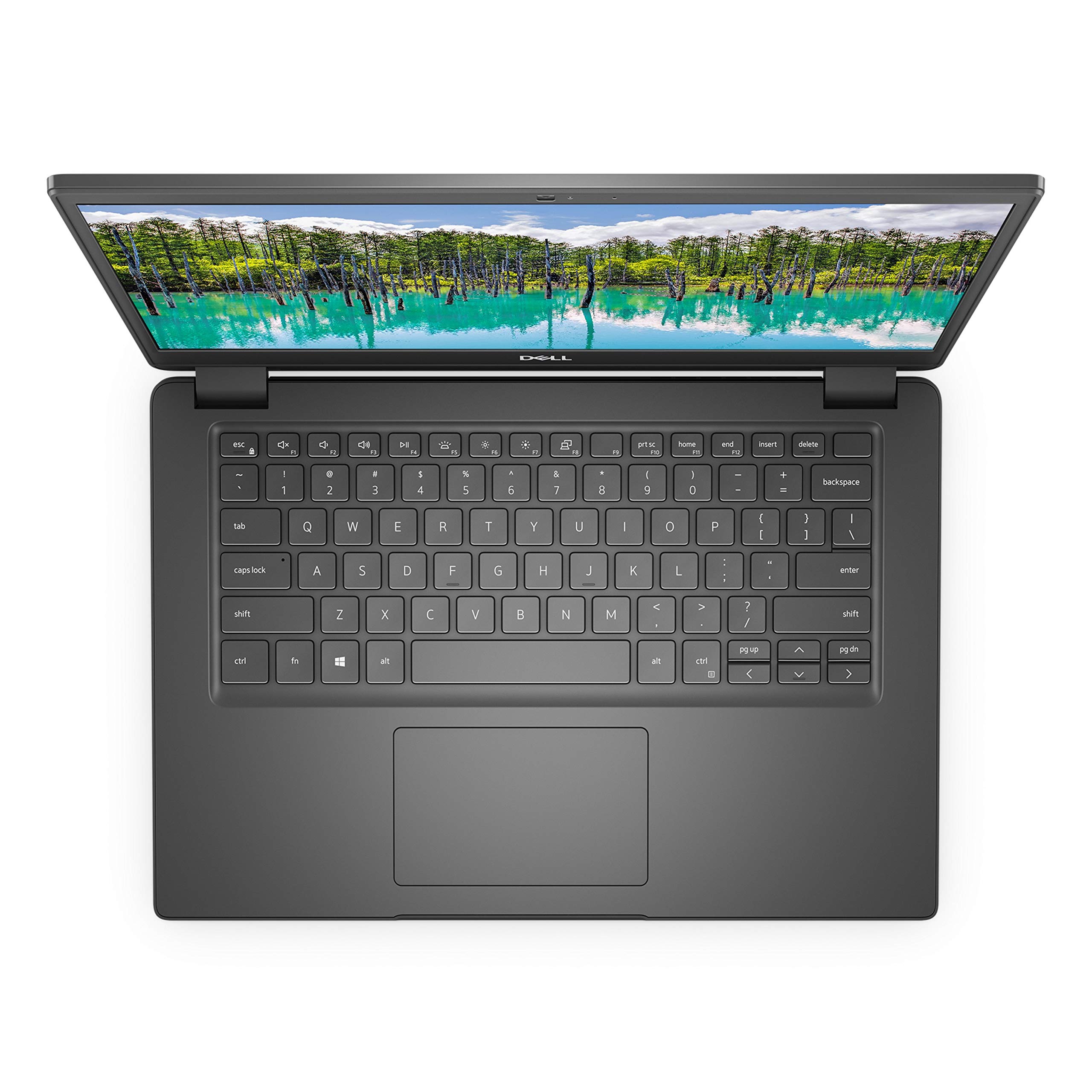 Amazon.com: Dell Latitude 3410 14