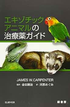 816D1ocxLWL._AC_UF350,