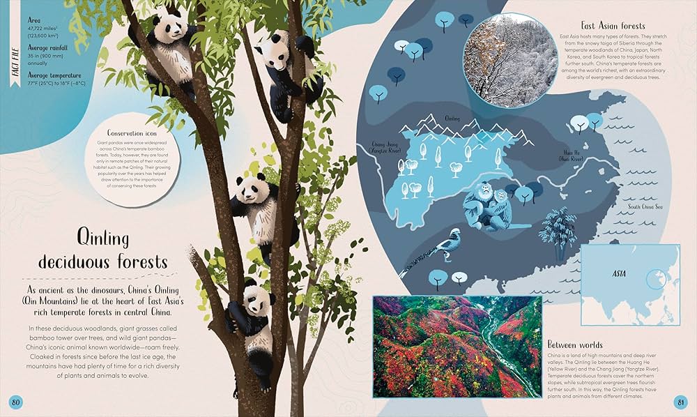 Forest: Walk Through the Fascinating World of the Wild (Earth's