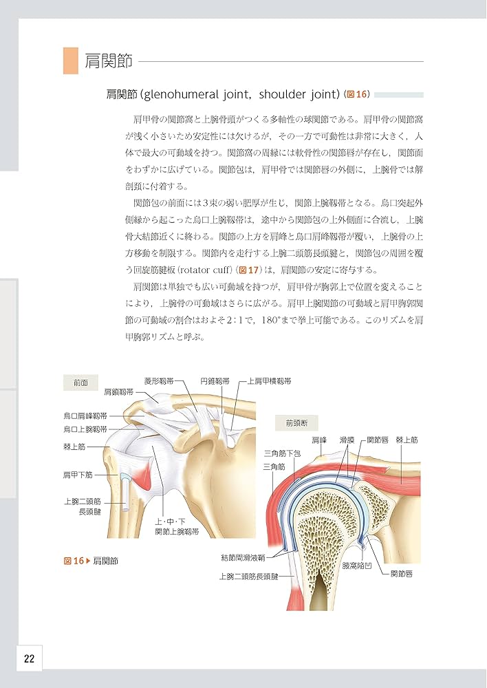 Amazon.co.jp: 整形外科レジデントのためのベーシック手術 【上肢
