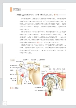 整形外科レジデントのためのベーシック手術 【上肢・脊椎・下肢 3冊合
