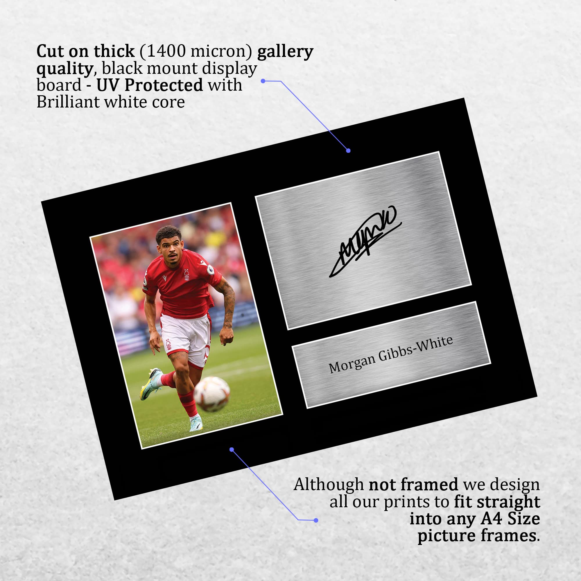 アモン・サーガ MOTION BOOKS 4 サイン入り サイン本『TOKYO STYLE