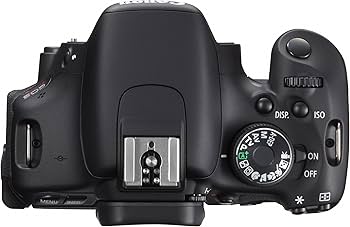 Amazon | 【整備済み品】 Canon デジタル一眼レフカメラ EOS Kiss X5