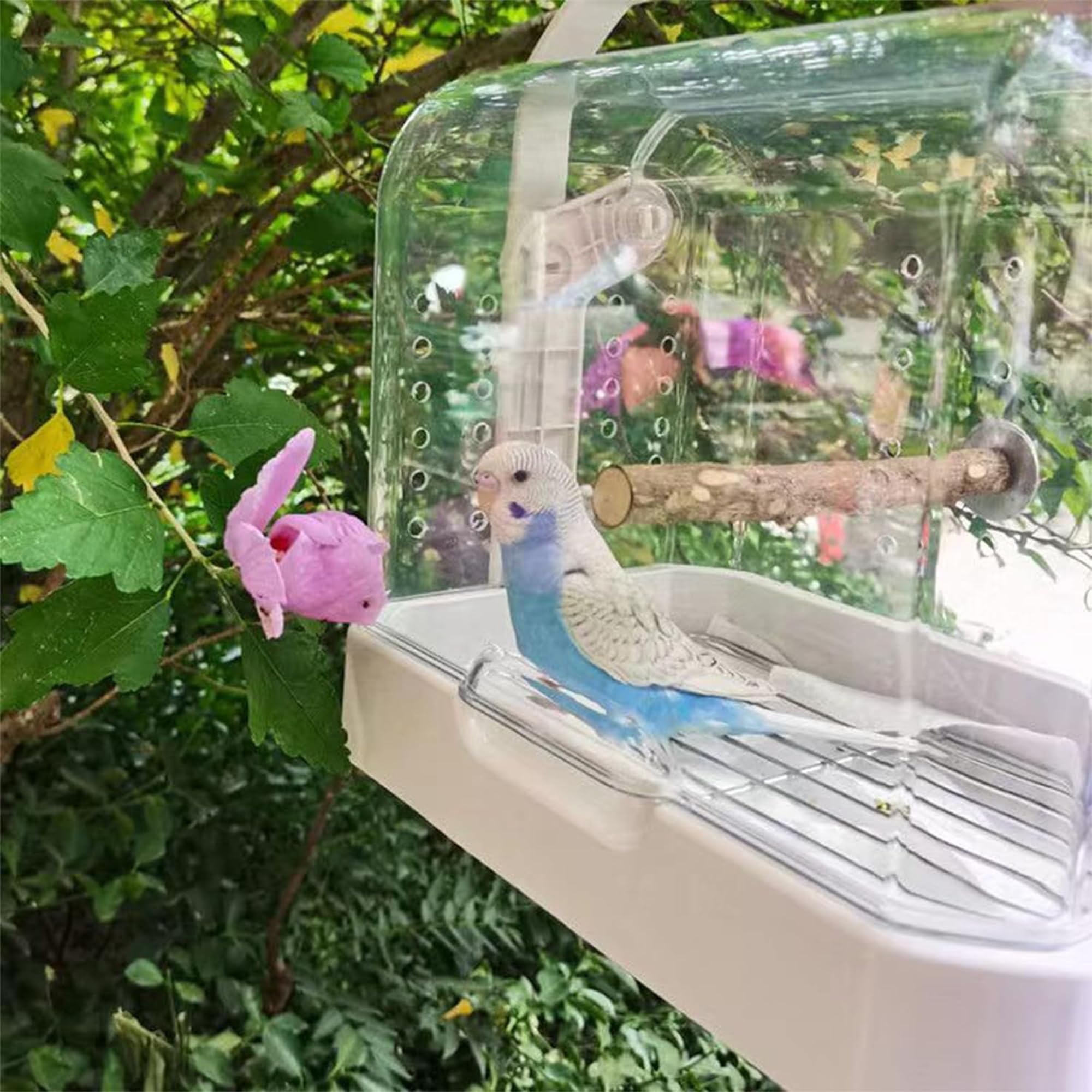 Amazon | インコ キャリー・鳥籠両用 パノラマ完全透明アクリル鳥