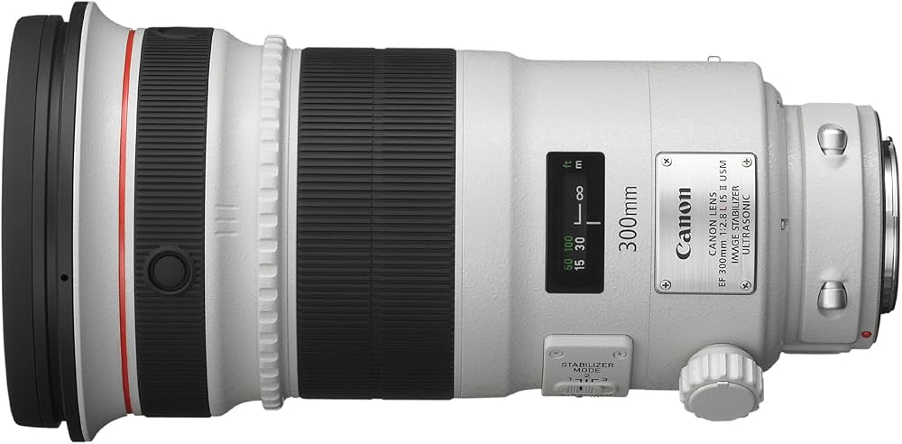 Amazon.co.jp: Canon EF 300mm F/2.8L IS II USM : Electronics