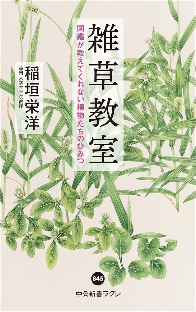 81+OiRRJjiL._AC_UF1000,