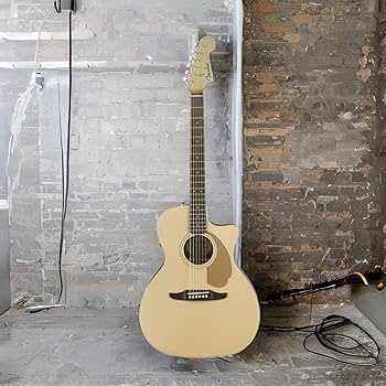 Amazon | Fender エレアコ Newporter Player, Champagne ソフトケース