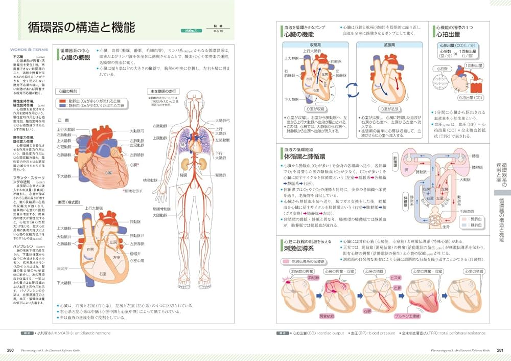8115LaV-rCL._AC_UF1000,